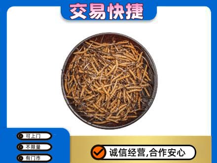 丽江市古城回收散虫草